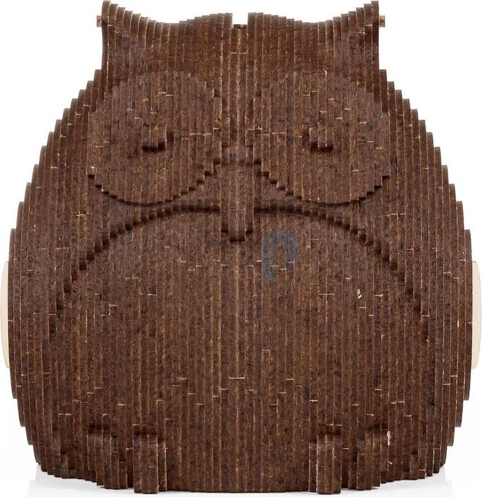 Actual product image Eco Wood Art Coin Bank Puzzle - Owl