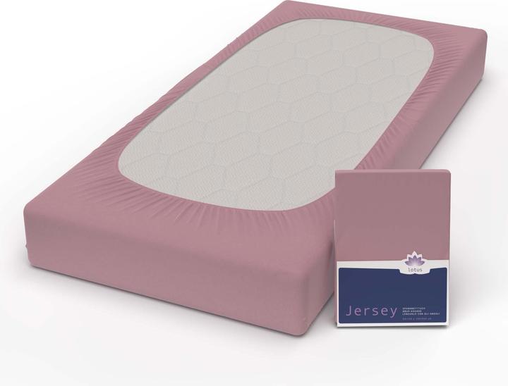 Actual product image Lotus Bettwaren Jersey Fix Comfort (180 x 200 cm)