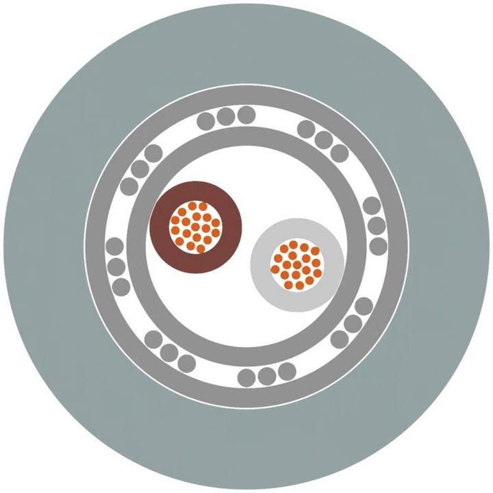 Image du produit Lapp UNITRONIC FD CP plus A 3x0,34 (100 m)