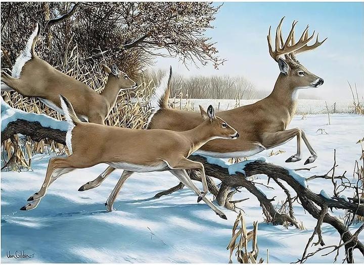 Actual product image Cobble Hill Puzzle 1000 pieces Breaking Cover (1000 pieces)