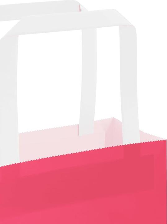 Produktbild vidaXL Papiertragetasche (250x)