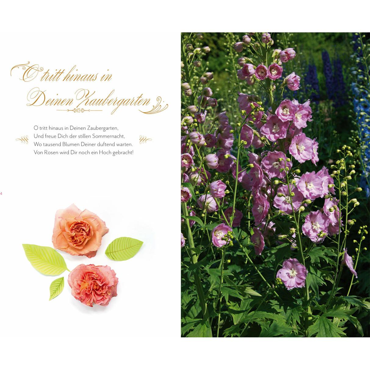 In Sisis Garten, Belletristik von Jan Thorbecke Verlag