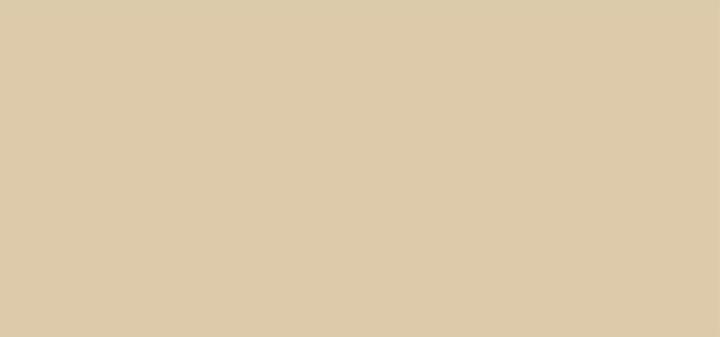 Actual product image NARS Cosmetics Radiant Creamy Concealer (Chantilly)