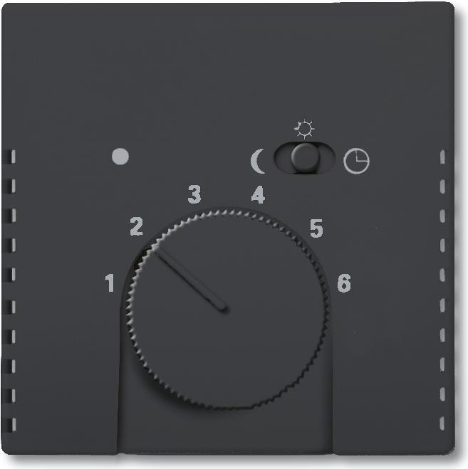 Actual product image Busch-Jaeger Central disk