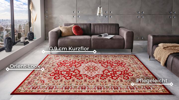 Immagine prodotto Hanse Home Parun Tabriz (150 x 80 cm)