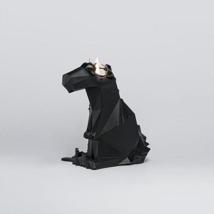 Produktbild 54Celsius PyroPet Dreki (1 Stk.)