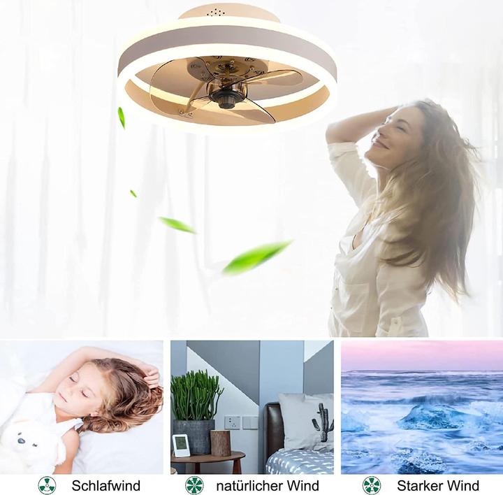 Image du produit Wildcat Ventilateur de plafond avec éclairage