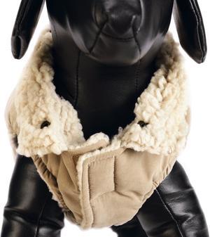 Immagine prodotto Designed by Lotte Cappotto per cani Philos (XXXL, Cappotto per cani)