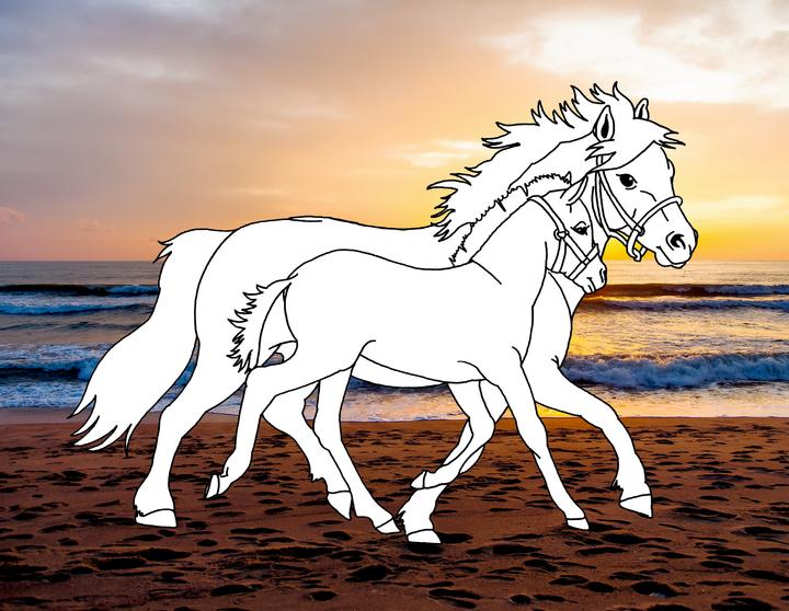 Produktbild Traumpferde-Malbuch: Strand & Meer