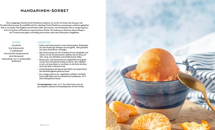 Actual product image Die vegane Eis-Bibel (German, Lucy Allary, 2023)
