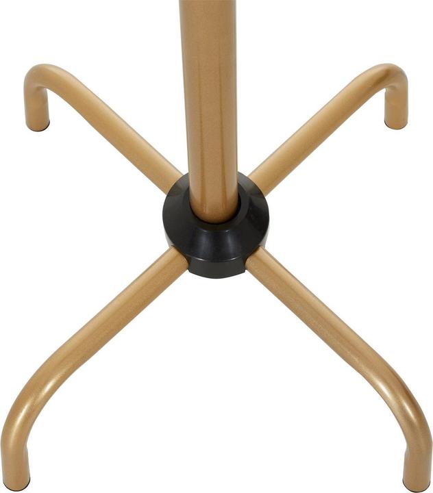 Produktbild IDIMEX Kaktus