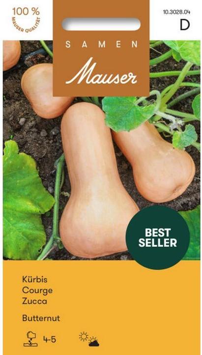 Actual product image Samen Mauser Butternut squash (Vegetable seeds)