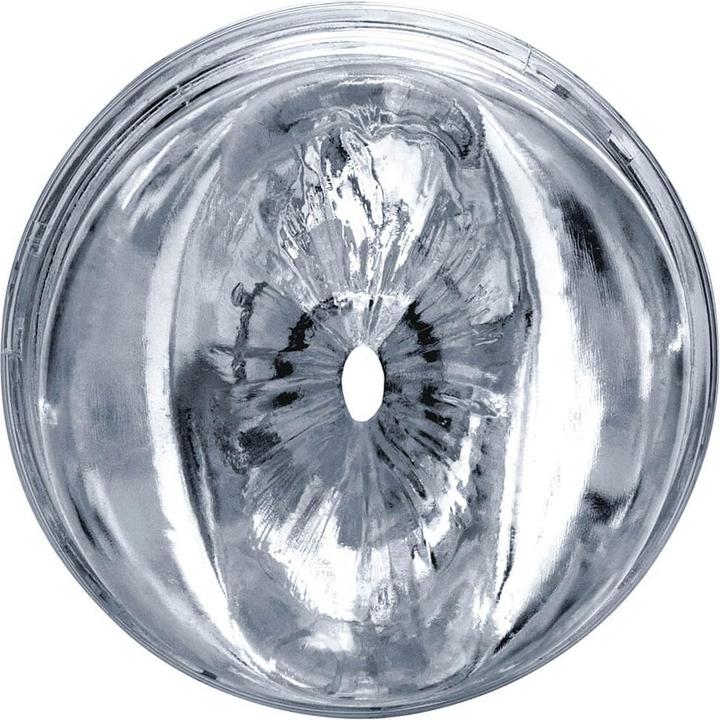 Image du produit Fleshlight Riley Reid