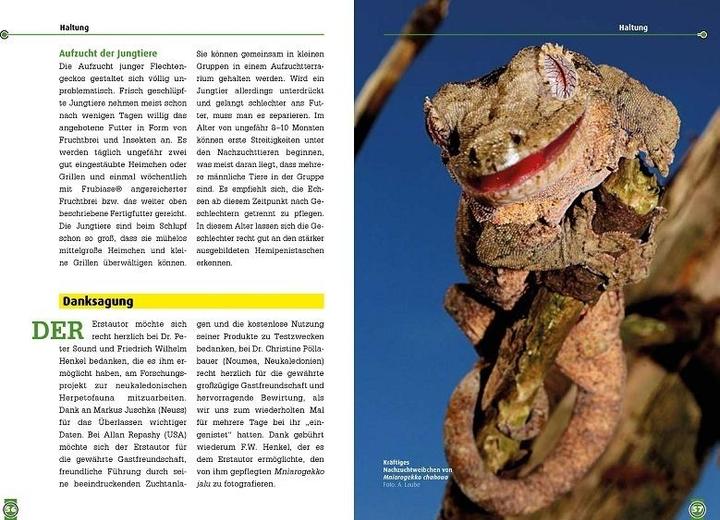 Actual product image Südlicher und Nördlicher Flechtengecko (German, Andreas Laube, Erwin Schröder, Christian Langner, 2018)