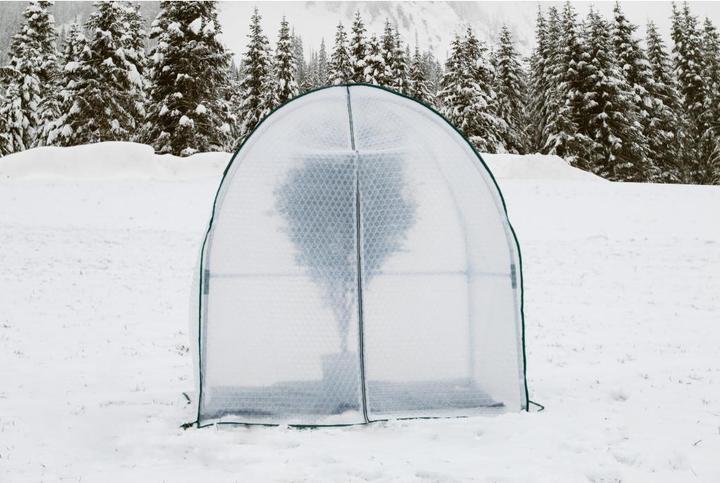 Immagine prodotto Colibri Yurta