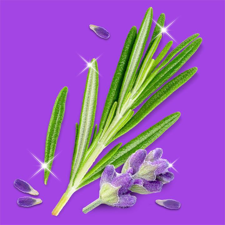 Produktbild Meister Proper Sprühen-Wischen-Fertig