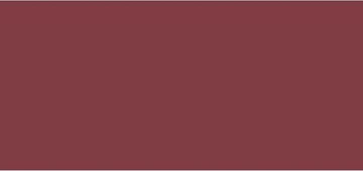 Actual product image Sisley Phyto Rouge Shine No 42 (42 Sheer Cranberry)