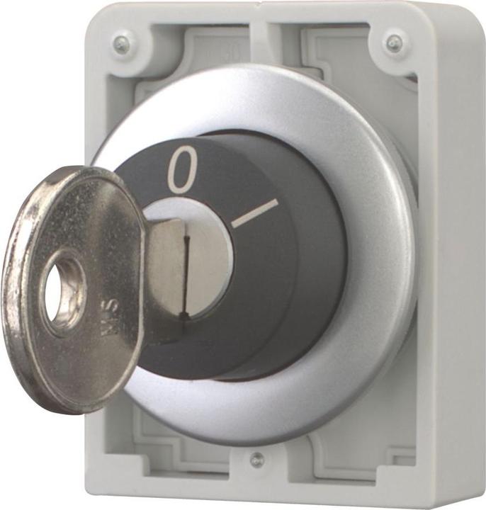Actual product image Eaton Key-oper act 30mm flat 2 pos maint