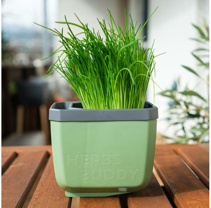 Actual product image Gusta Garden HERBS BUDDY Kräutertopf 3er Set Grün (49 x 15 x 14.50 cm)