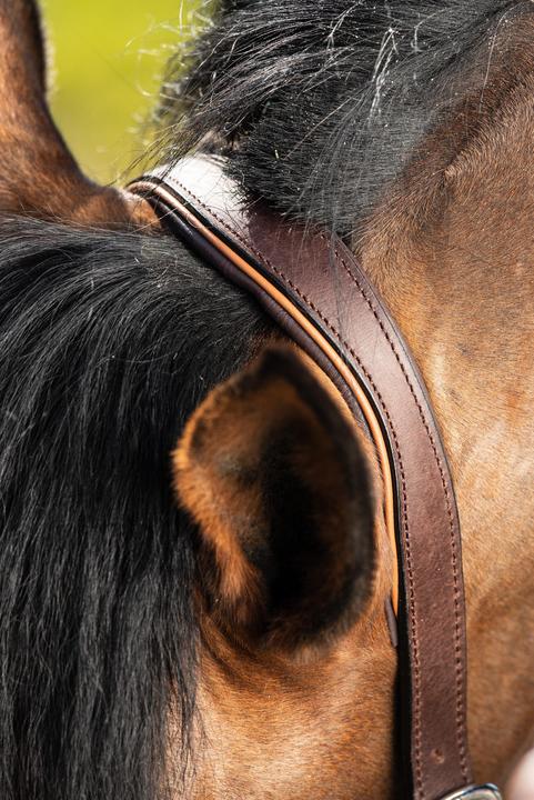 Immagine prodotto HFI Master Two-Tone