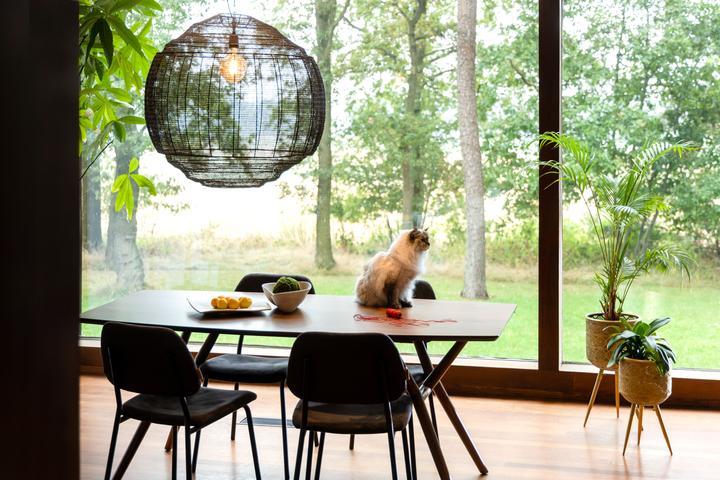 Produktbild Dutchbone Lamp (E27)