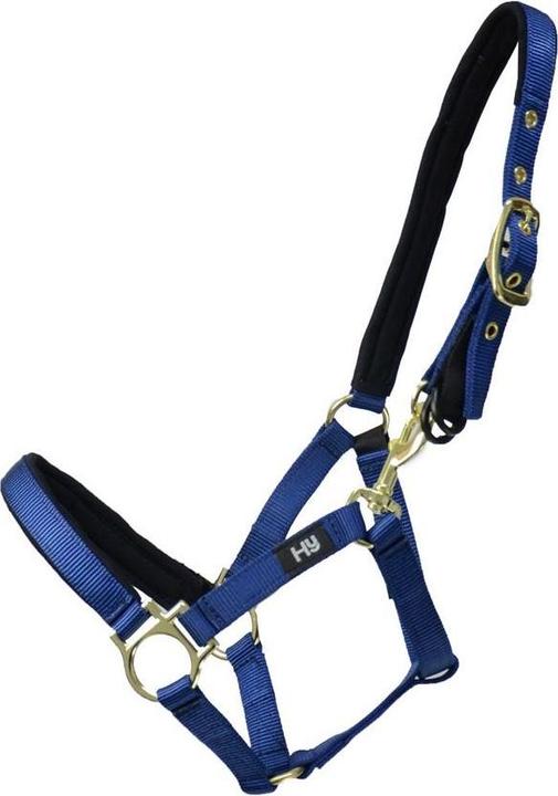 Bleu marine