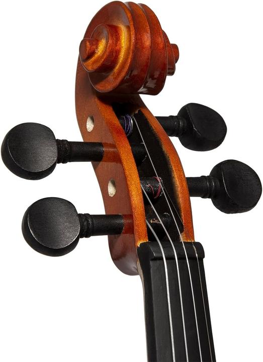 Actual product image Theodore Beginner Violin with Solid Spruce Top and Ebony Fingerboard (Fiddle, 3/4)