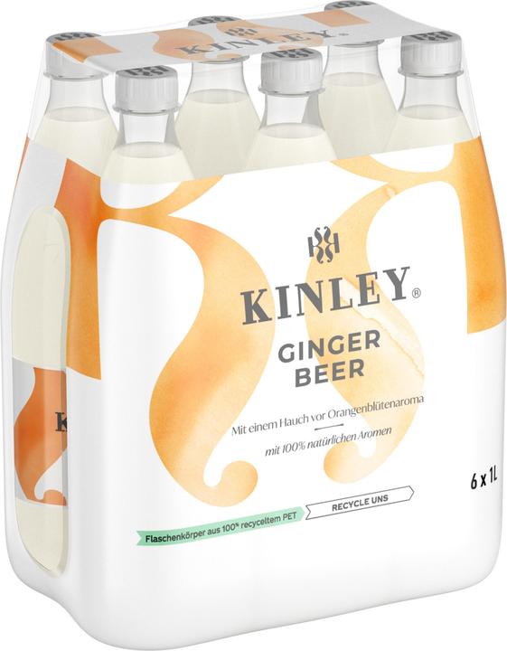 Actual product image Kinley Ginger Beer (6 x 100 cl)