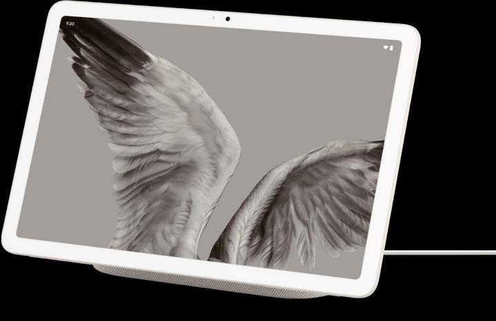 Actual product image Google Pixel (10.95", 256 GB, Porcelain)