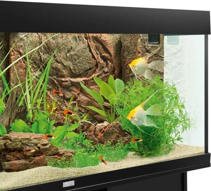 Productafbeelding Juwel Aquarium Motief achterwand Cliff Dark (Achterwand, Andere objecten)