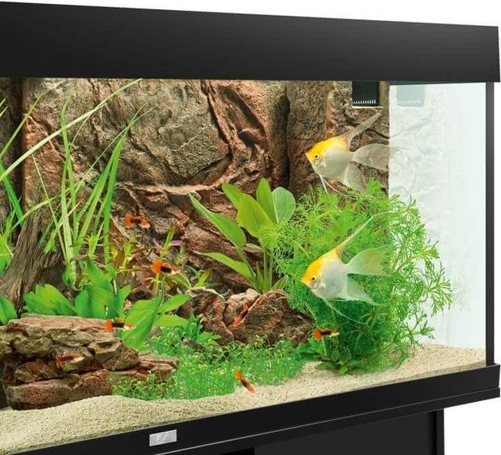 Actual product image Juwel Aquarium Motif back wall Cliff Dark (Rear panel, other items)