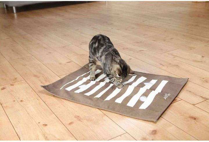 Actual product image Trixie Cat Activity paw pad (Intelligence toy cat)