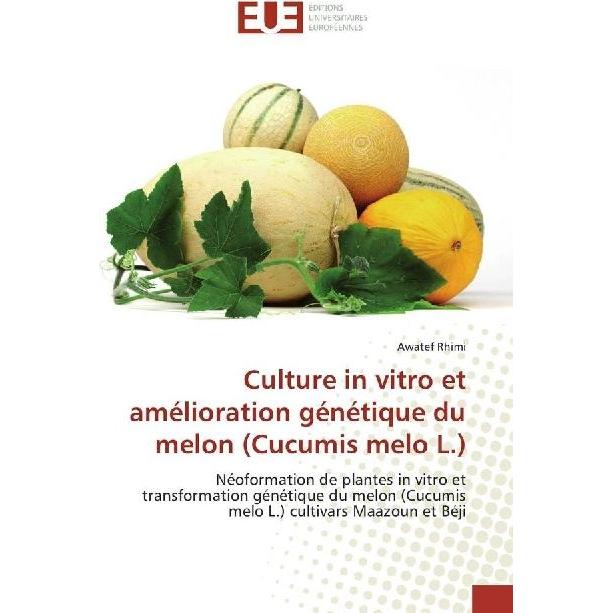 Culture in vitro et amélioration génétique du melon (Cucumis melo L.), Fachbücher von Awatef Rhimi