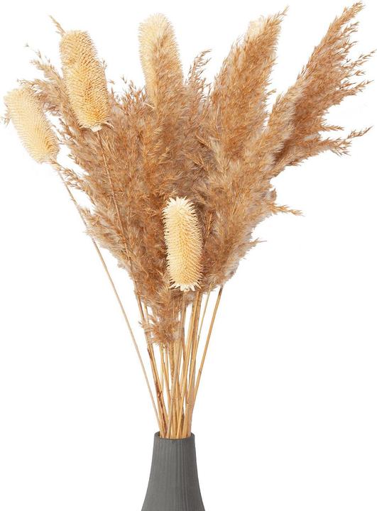 Produktbild Natura Punto 5er-Set Trockenblumen weisse Distel
