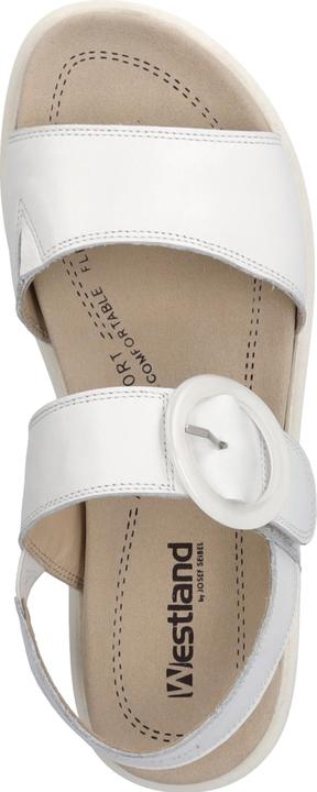 Actual product image Westland 25408-409 (41)