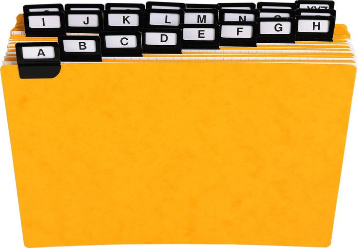 Immagine prodotto Exacompta Divisori Schede guida