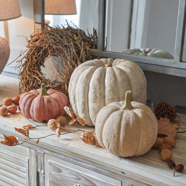 Actual product image Loberon Pumpkin