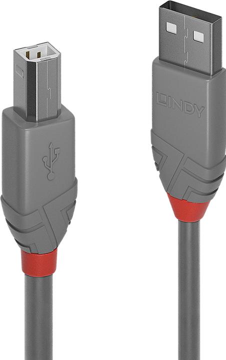 Produktbild Lindy USB/A-USB/B M-M (3 m, USB 2.0)
