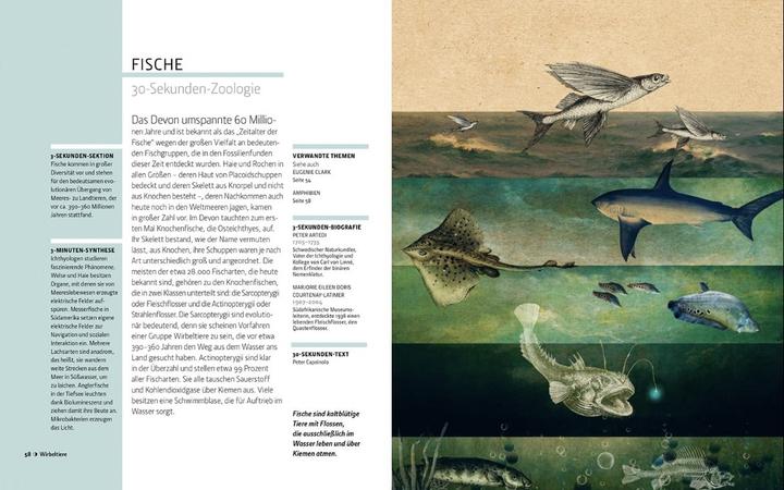 Produktbild Librero Fellowes:Zoologie in 30 Sekunden (Deutsch, Englisch, Mark Fellowes, 2024)