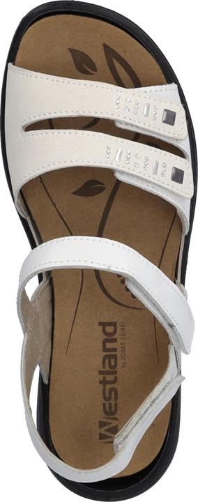 Actual product image Westland 16786-96 (44)