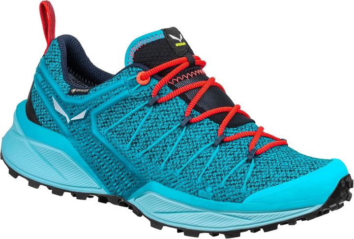 Produktbild Salewa Dropline GTX Schuhe (41)