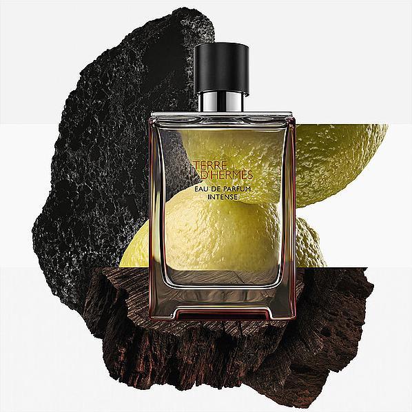 Image du produit Hermès Terre d'Hermes (Eau de parfum, 50 ml)