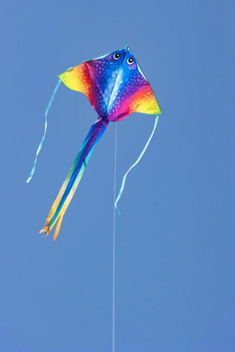 Immagine prodotto Invento Cerf-volant Simple Flyer MantaII