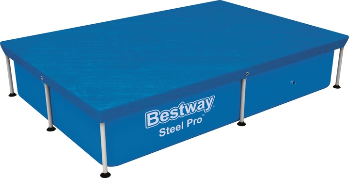 Actual product image Bestway Flowclear