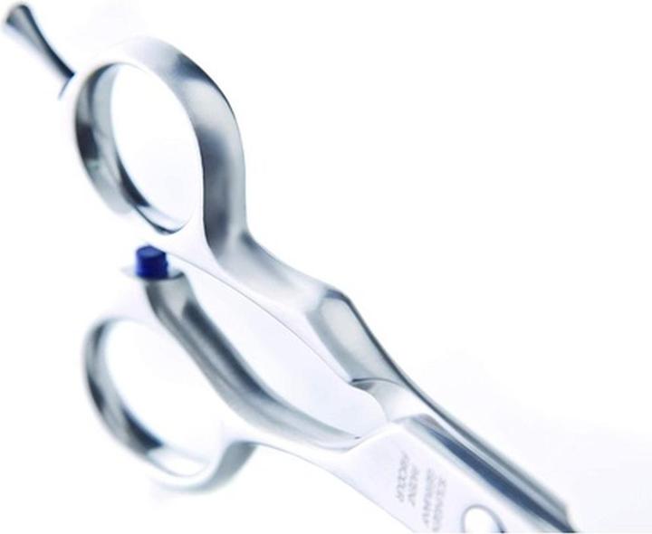 Image du produit Jaguar Silver Line Xena 6,0 Ciseaux à cheveux (15.24 cm)