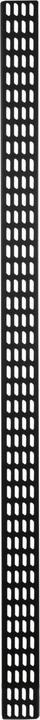 Actual product image DS-IT Vertical cable management strip