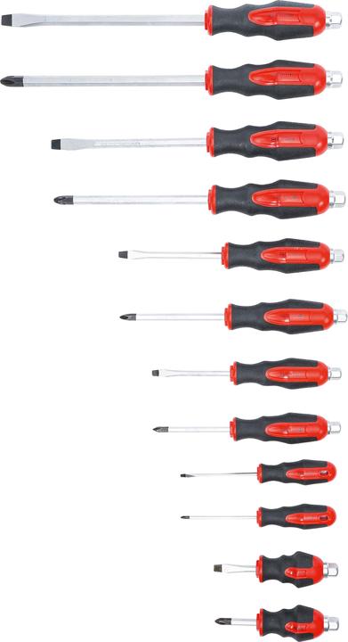 Actual product image BGS Screwdriver Set 12 pcs. (hexagon)