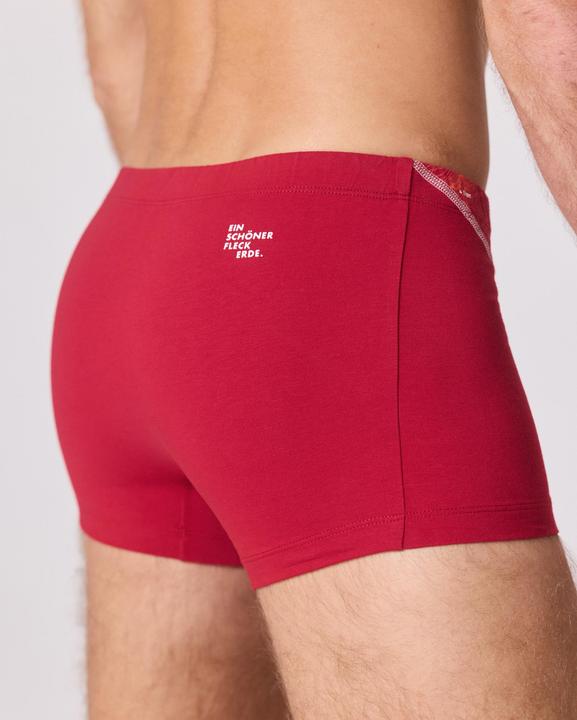 Immagine prodotto Ein schöner Fleck Erde Firehorn (M)