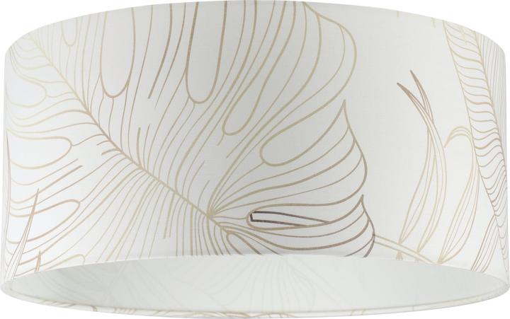 Image du produit EGLO Plafonniers (E27)