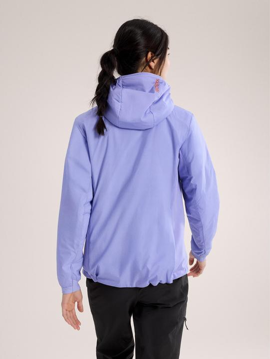 Image du produit Arc'teryx Atom Hoodie (L)